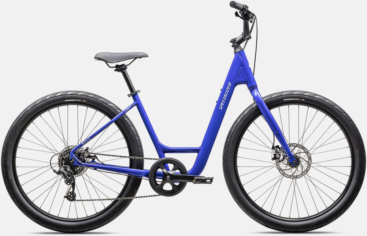 Specialized Roll Low Entry – Roy's Bikes