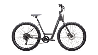 Specialized Roll 3.0 Low Entry - Roy's Bikes