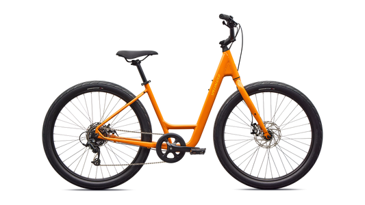 Specialized Roll 2.0 Low Entry