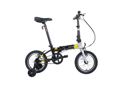 Dahon Ageless Youth